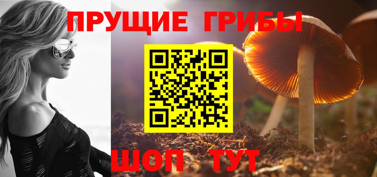 Галлюциногенные грибы прущие грибы  Псилоцибиновые грибы мицелий  Вход с VPN  Туймазы 